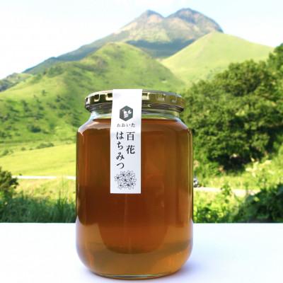 ふるさと納税 由布市 由布市産 「おおいた百花はちみつ」1kg |  | 02