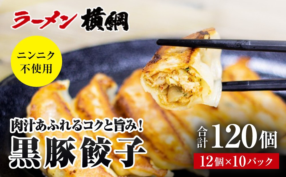 
                  【ラーメン横綱】ニンニク不使用! 黒豚餃子 10パック120個 京都  有名店 餃子 大人気セット［ 肉汁あふれるコクと旨み 小分け 黒豚 冷凍食品 大容量 おいしい 簡単 便利 おすすめ 中華 中華料理 お取り寄せ 通販 送料無料 ］
                