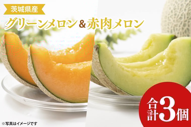 
            【先行予約】【6月下旬～7月中旬まで発送】茨城県阿見町産メロン３玉（青肉２玉・赤肉1玉）【グリーンメロン 果肉 濃厚 オレンジ色 上品な甘み】(21-02-1)
          