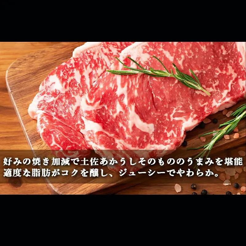 土佐あかうし 和牛サーロイン／ステーキ 500g（250g×2枚） | あか牛 赤身 旨味 希少 幻 贈り物 ギフト 高知県 南国市