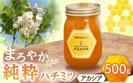 【12/22までの決済で年内発送】純粋ハチミツ アカシア 500g×1 瑞浪市 / honey shop Bee farm asano 蜂蜜 はちみつ [AZBT002]