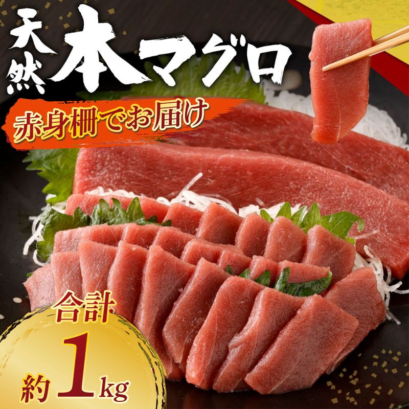 【ふるさと納税】 高豊丸 天然本まぐろ 赤身サク 合計約1kg 刺身 お刺し身 柵 マグロ 鮪 ちらし寿司 手巻き寿司 おかず 海鮮丼 魚介類 真空パック 惣菜 訳あり 規格外 冷凍 送料無料