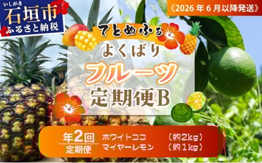 《2026年6月以降発送》マツコの知らない世界で紹介！幻のホワイトココ＆青切りマイヤーレモンの定期便　年２回に分けてお送りします