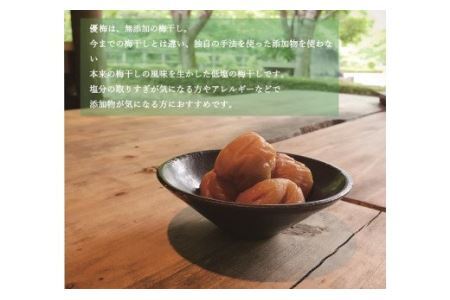 梅干し 食べ比べセット 500g×2（はちみつ・優梅）【inm900-2B】