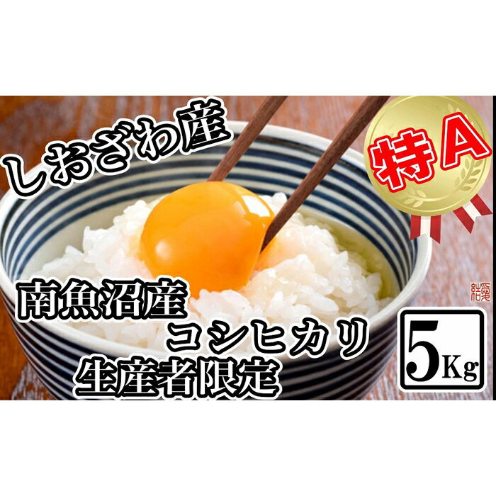 【ふるさと納税】【令和7年産】米 コシヒカリ 南魚沼しおざわ産 5kg 契約栽培【2025年10月上旬より順次発送予定】 | お米 こめ 白米 コシヒカリ 食品 人気 おすすめ 送料無料 魚沼 南魚沼 南魚沼市 新潟県産 新潟県 精米 産直 産地直送 お取り寄せ