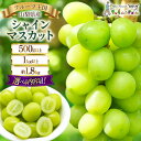 【ふるさと納税】【2025年発送】 ぶどう 山梨県産 シャインマスカット 選べる内容量 500g以上～約1.8kg(1房/2～3房) [えべし 山梨県 中央市 21470730y] フルーツ 果物 くだもの ブドウ シャイン マスカット 葡萄 種なし