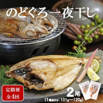 ふるさと納税 大田市 【毎月定期便】のどぐろ一夜干し 2尾(1尾あたり101〜120g)全4回