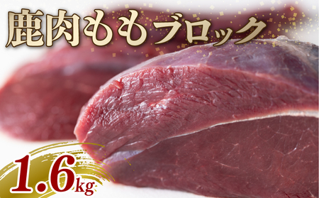 鹿モモ肉 ブロック 1.6kg ジビエ 鹿肉 鹿 モモ 赤身 ブロック肉 カレー シチュー 煮込み料理 ヘルシー あっさり 食べやすい 美味しい 新鮮 冷凍 京都府