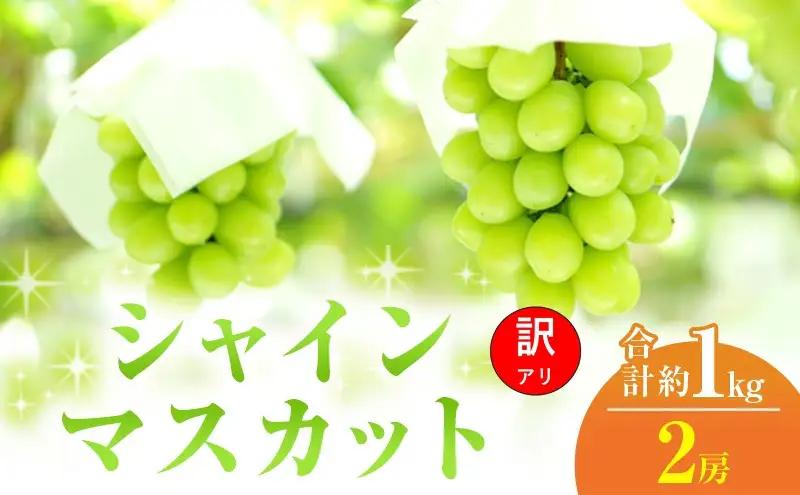 シャインマスカット ぶどう 訳あり 岡山県産 シャインマスカット【2房 約1kg】【常温・先行予約】