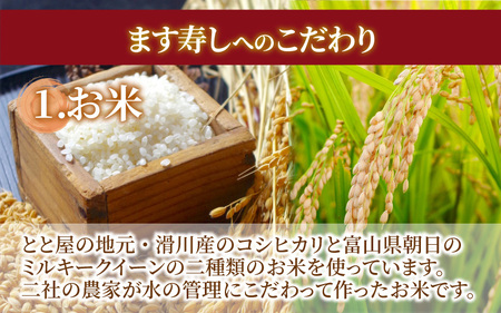冷凍ます寿し1段【本州のみ発送】 | 鱒 マス 寿司 鮨 すし ますずし 真空パック 310g