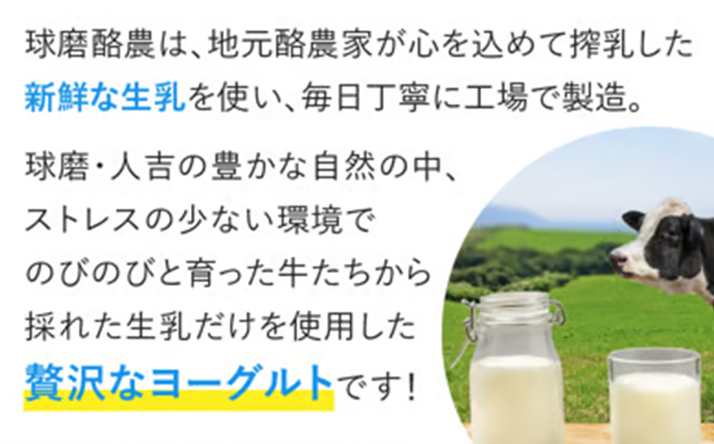 球磨の恵み ヨーグルト (加糖) 1kg×6パック 計6kg