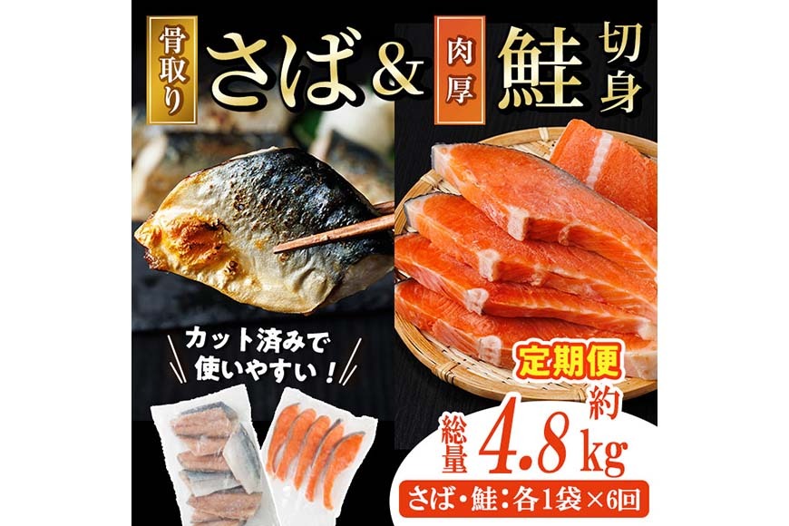 【定期便・全6回(連続)】骨取り 国産 塩さばと 肉厚 鮭 切り身 のセット(総計約4.8kg) 量 切身 塩 鯖 サバ 骨なし 骨とり 冷凍食品 小分け パラパラ冷凍 肉厚 鮭 厚切り しゃけ さけ サケ 切身 塩鮭 【AW-142】【丸正水産】