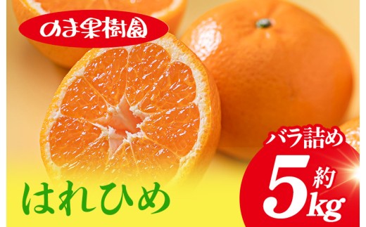 【先行予約】はれひめ（5kg）[K003690K5] 人気商品 国産 高級フルーツ 人気商品 みかん 柑橘 フルーツ 果物 乃万青果 のま果樹園 はれひめ