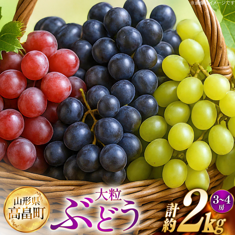 【期間限定発送】 ぶどう 2～3色 約 2kg 詰め合わせ セット [JA山形おきたま 山形県 高畠町 tk06ays870046] シャインマスカット 葡萄 セット ブドウ 巨峰 ピオーネ クイーンニーナ ゴルビー 高尾 蔵王おとめ 大粒 農家直送 朝採れ 食べ比べ 2キロ