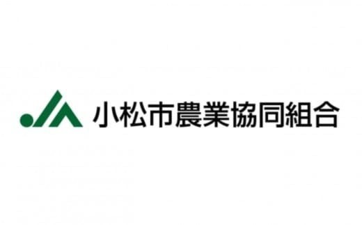 【特別栽培米コシヒカリ】蛍米 精米 5kg  令和7年産 【JA小松市】