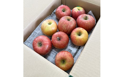 【令和6年産先行予約】 〈訳あり品 家庭用〉 りんご 「シナ