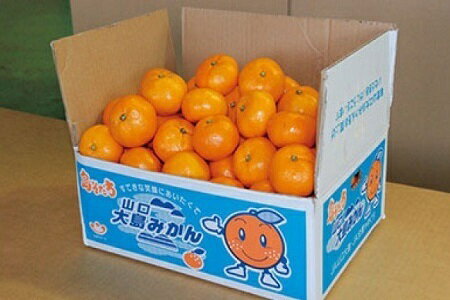【ふるさと納税】山口大島みかん（島そだち）青島