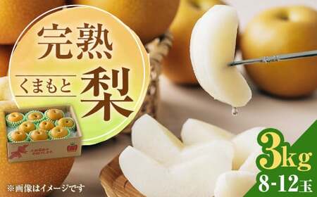 【2025年8月下旬発送予定】 完熟 くまもと梨 3kg 果物 フルーツ なし