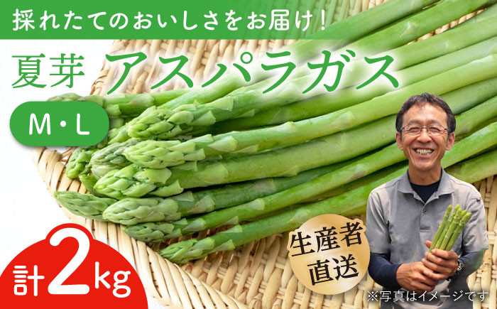 
【農家直送】夏芽アスパラガス 2kg (M・L混合) アスパラガス アスパラ 野菜 新鮮 夏野菜 東彼杵町 / 前平農園 [BCG005]
