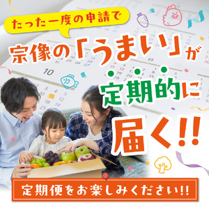 【年6回／偶数月お届け】海のまちから「絶品」海産物をお届け!むなかた海の幸定期便_HB0200