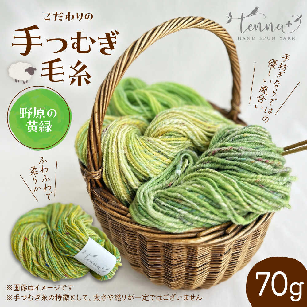 【ふるさと納税】こだわりの手つむぎ毛糸 野原の黄緑 70g《厚真町》【tenna+】[AXAY007]