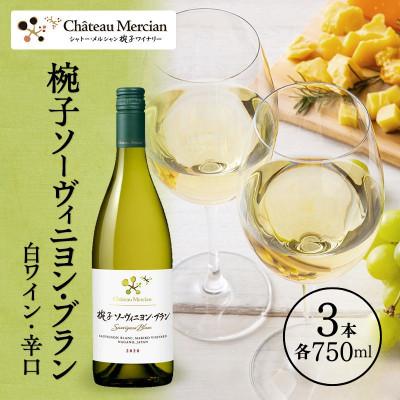 ふるさと納税 上田市 ワイン 椀子ソーヴィニヨン・ブラン 750ml 3本 [54041147]