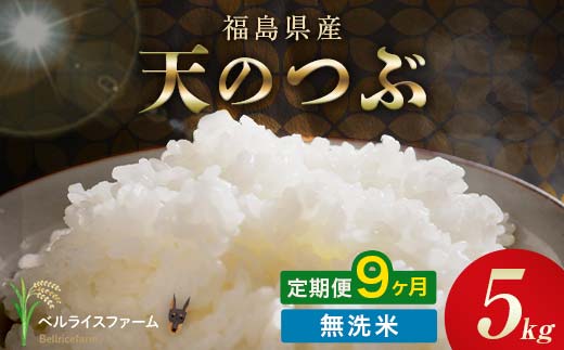 
                  〈先行予約〉令和8年産【お米の定期便】9ヶ月配送 農家直送 ベルライスファーム 天のつぶ 無洗米 5kg F6U-501
                