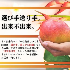 【先行予約】【石垣島産アップルマンゴー】完熟マンゴー 内容量2kg (3～6個入り)化粧箱入り《2025年6月末〜7月下旬発送》【 産地直送 沖縄 石垣 フルーツ マンゴー アップルマンゴー 完熟マン