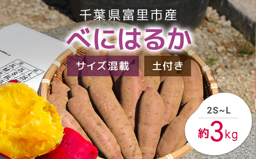 
【2024年11月以降発送】千葉県富里市産　べにはるか　3kg　サイズ混載　土付き TMH003 / さつまいも サツマイモ 紅はるか べにはるか おさつ 甘藷 唐いも あまい 甘い スイーツ スイート ポテト おやつ 焼き芋 千葉県 富里市
