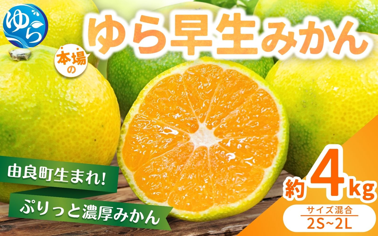 
            【先行予約】ゆら早生みかん 約4kg ※2025年10月中旬～10月下旬順次発送農家直送 / くだもの  果実  柑橘 果物 フルーツ 国産 和歌山県 由良町 ご家庭用 人気 おすすめ 【nktn031-sp】
          
