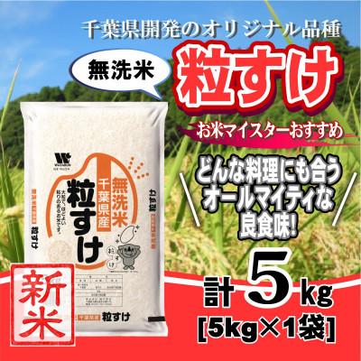 ふるさと納税 大網白里市 【新米 令和8年産】千葉県産「粒すけ」無洗米 5kg(5kg×1袋)