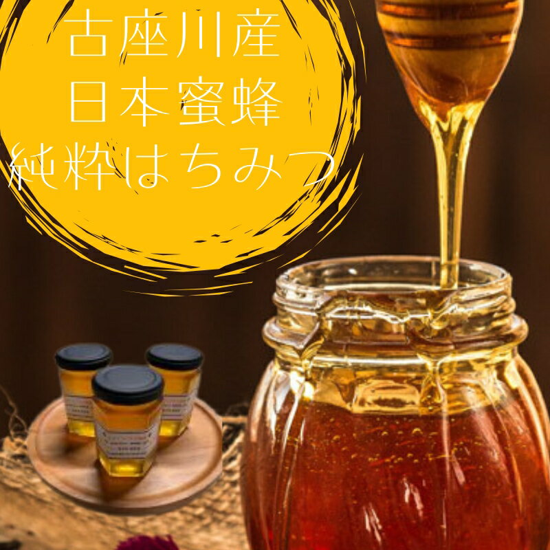 【ふるさと納税】 純粋はちみつ 日本ミツバチの蜂蜜 ＜2025年9月初旬より順次発送＞ / はちみつ 蜂蜜 日本蜜蜂 純粋蜂蜜 濃厚 古座川町 健康 朝食 パン ヨーグルト 濃い 甘い