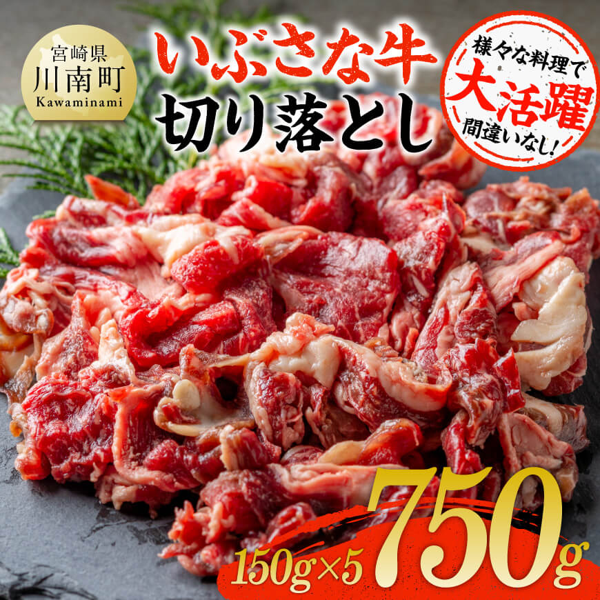 いぶさな牛切り落とし750g（150g×5パック）　牛 切り落とし 黒毛和牛[D05303]
