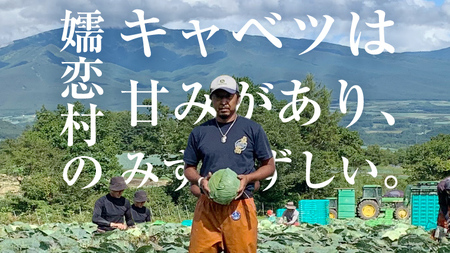 【7月中旬以降発送開始】 【 定期便 】 嬬恋キャベツ 嬬恋産 高原キャベツ 3玉1ケース 隔月2回 定期便 [AS012tu]