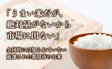 コシヒカリ10kg（5kg×2袋）＜都留市産＞【令和５年産】