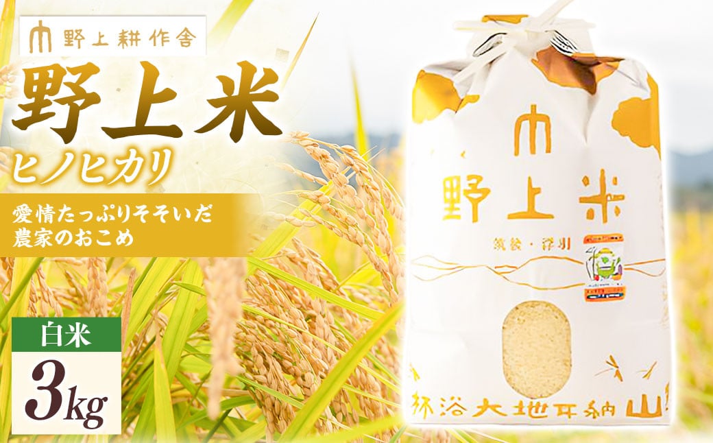 【2025年10月下旬より順次発送開始】野上耕作舎 野上米ヒノヒカリ 白米3kg ひのひかり 白米 米 お米 ご飯 国産 九州産 福岡県 うきは市