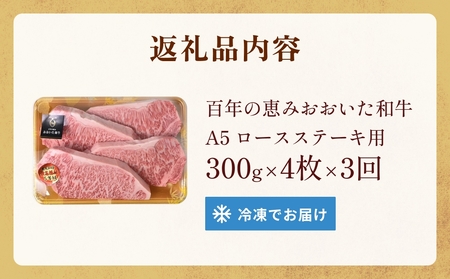 「百年の恵み おおいた和牛 」A5 ロースステーキ用300g × 4枚 × 3ヶ月 定期便 おおいた和牛 ロースステーキ A5等級 黒毛和牛 大分県産 牛肉 高級肉 霜降り 和牛ステーキ 風味豊か 脂