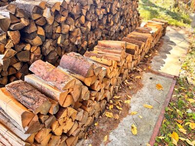 薪 信州産 松の薪 薪1箱 約20キロ×3箱 合計60キロ 薪長さ：35cm【027-17】