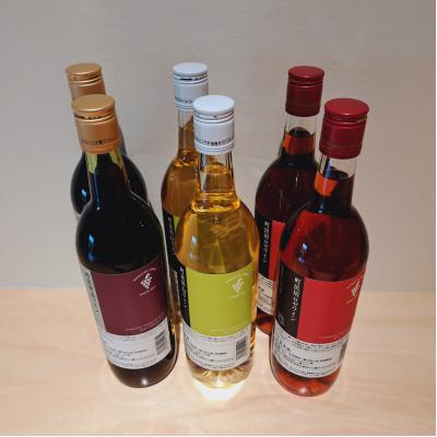 ふるさと納税 池田町 町民用シリーズ6本セット |  | 01