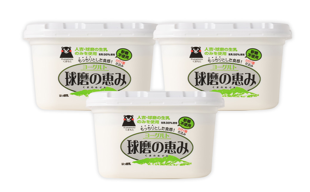 球磨の恵み ヨーグルト 砂糖不使用 1kg×3パック 合計3kg