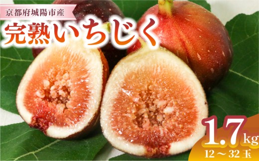完熟いちじく 約1.7kg (12～32個目安) 5L～Mサイズ ＜7月下旬より発送＞ いちじく 無花果 イチジク 果物 くだもの フルーツ 人気 旬 国産 先行予約 季節限定 期間限定 限定 産地直送 倉田農場 城陽市 城陽 京都 京都府