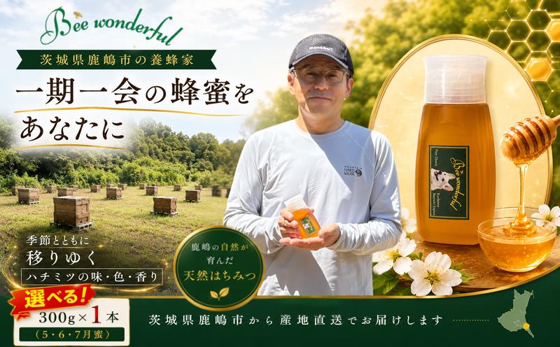 
                  はちみつ 【選べる】 5月蜜 6月蜜 7月蜜 百花蜜 養蜂 自家採蜜 非加熱 無添加 蜂蜜 産地直送 300g×1個 贈答用 贈答 ハニー 国産 プレゼント 一期一会 ギフト 栄養 自然のめぐみ 日常使い ふるさと納税 茨城県 鹿嶋市 
                