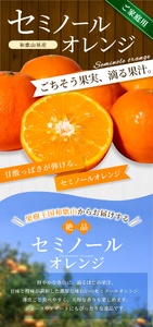 【家庭用】  セミノールオレンジ 約1.5kg 【北海道・沖縄・離島配送不可】【BV90026-mrmt026】