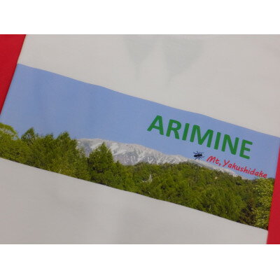 【ふるさと納税】有峰文化村TシャツLサイズ2枚セット(紺1枚・白1枚)【1590238】