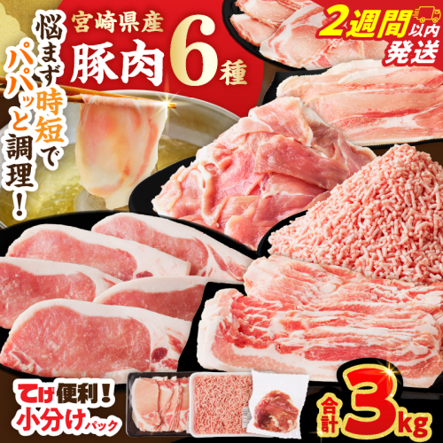 【2週間以内発送】≪宮崎県産≫豚肉6種＼てげスゲーセット／合計3kg 肉 豚 豚肉 おかず 国産_T009-0315-2W