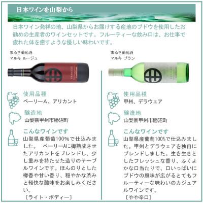 ふるさと納税 山梨県 山梨ワイン リラックス 飲み比べ 6本セット |  | 02