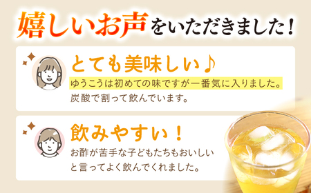 玄米酢 酢らり 大瓶2本 ゆうこう ＜川添酢造＞ [CDN059] 果実酢 酢