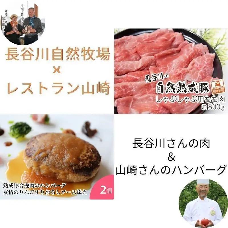 豚肉セット しゃぶしゃぶもも肉 ハンバーグ 長谷川自然熟成豚 豚肉セット【もも肉500g ハンバーグ2個】【冷凍】