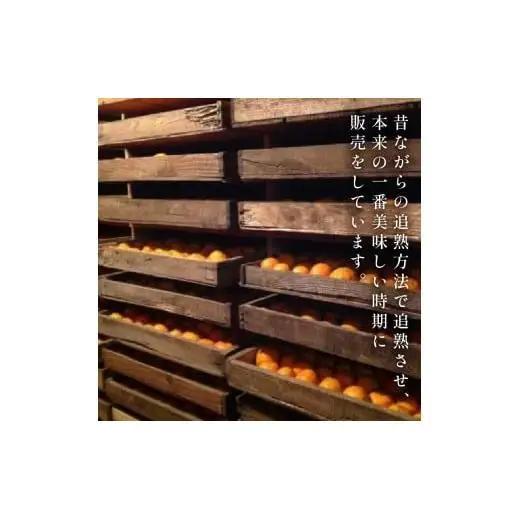 【先行予約】 【早期受付】 ぽんかん 10kg 訳あり 2027年2月より順次発送 須崎市