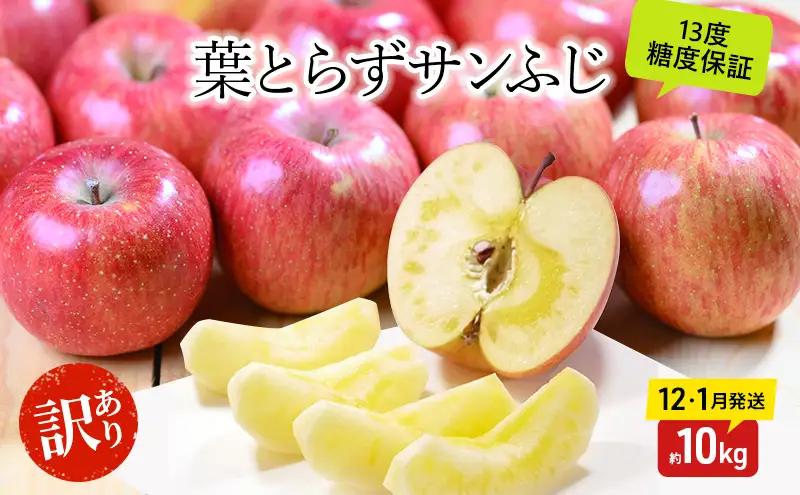りんごサンふじ蜜入り訳あり 青森県産 りんご【約10kg】【12・1月発送】